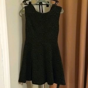 Ann Taylor Loft Dress NWT